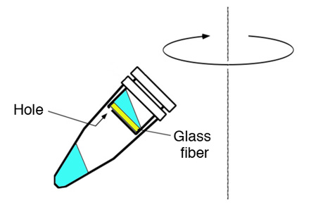 Filter binding method